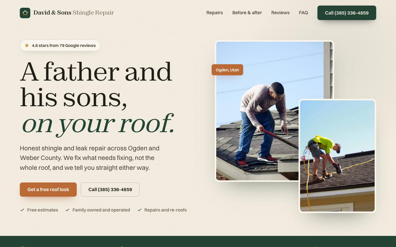 David & Sons Shingle Repair website design